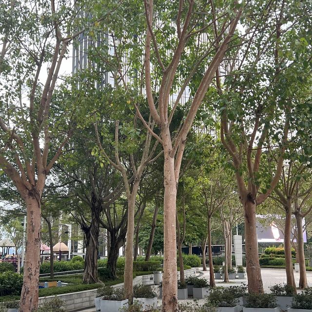 打卡香港中間道兒童樂園
