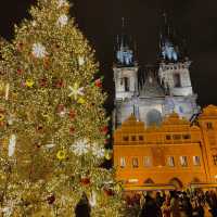 찐 유럽 크리스마스 인생샷 장소 추천🎄🇩🇪