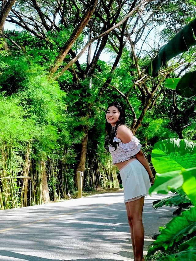 เช็คอิน ถ่ายรูปที่ Three Monkey Phuket
