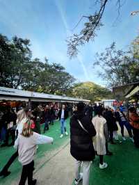 Xmas Market at a UNESCO World Heritage Site