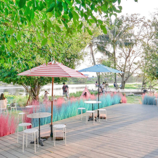 Memory House Cafe ทุ่งหญ้าหลากสี
