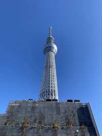 東京観光