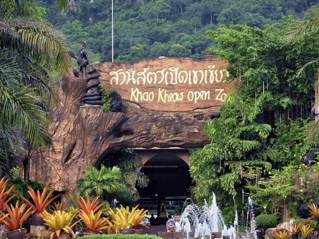 ดูโชว์เพนกวิน ที่สวนสัตว์เปิดเขาเขียว 
