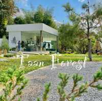 Taan Forest Chiangrai ค่าเฟ่สไตล์ยุโรปผสมผสานสไตล์