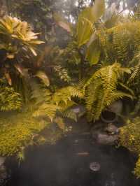 42 Garden Cafe คาเฟ่ลับเชียงใหม่ย่านหนองหอย