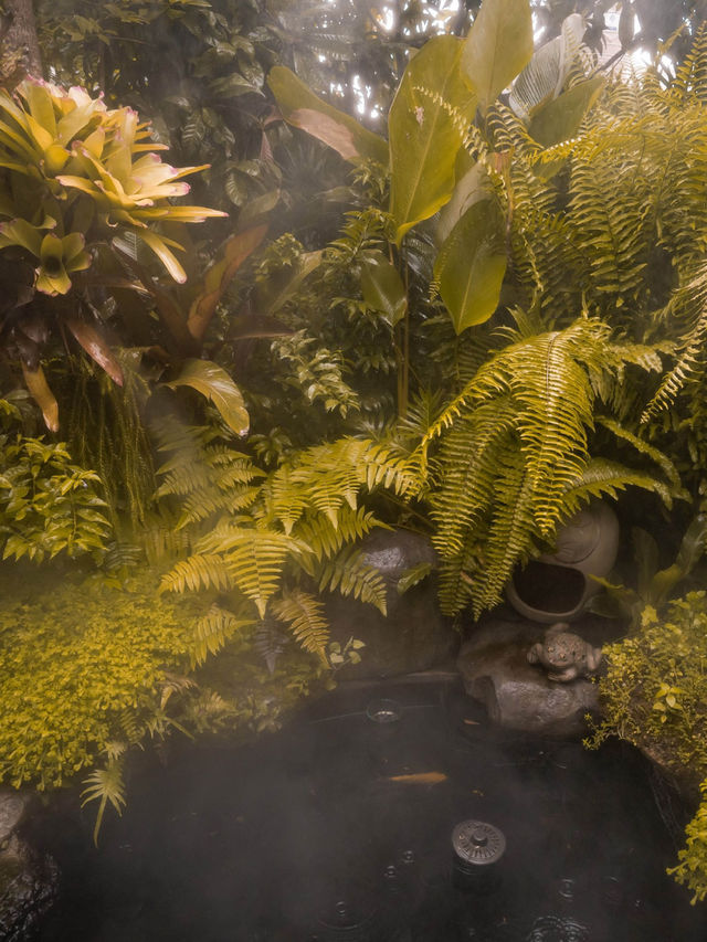 42 Garden Cafe คาเฟ่ลับเชียงใหม่ย่านหนองหอย