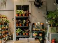 Planty Of Joy