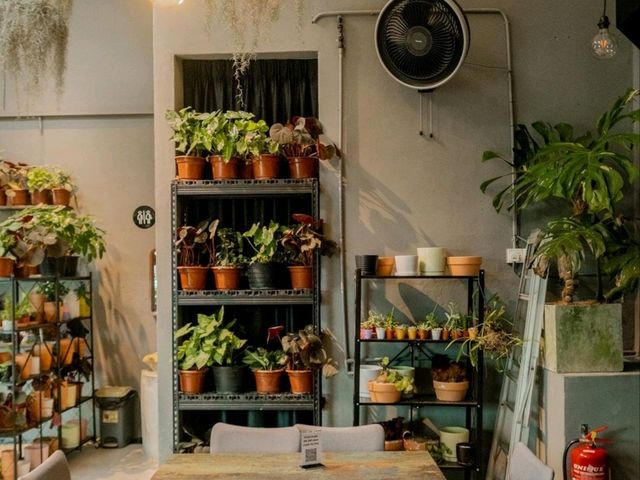 Planty Of Joy