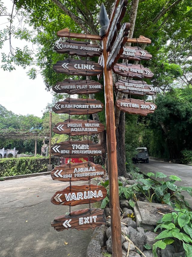 峇里親子遊❤️最大動物園😳Bali Safari and Marine Park🙈