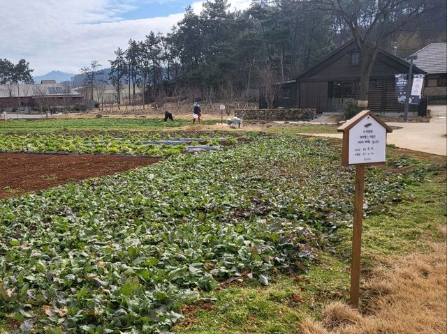 귀여운 동물들이 가득한 예쁜 상하농원