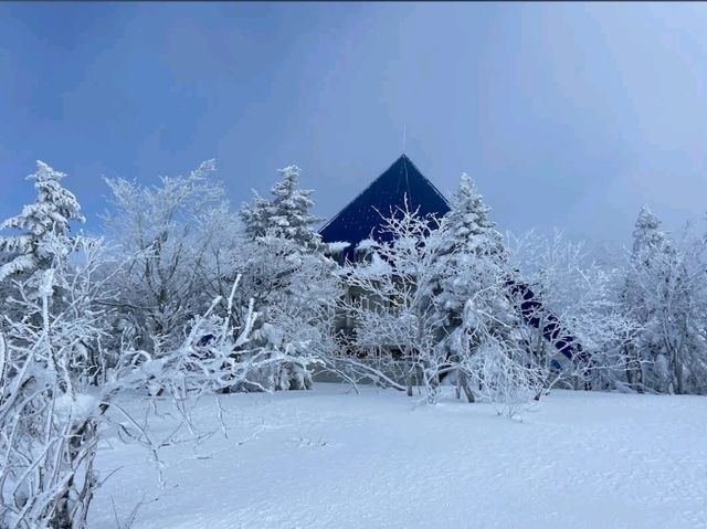 Skiing Season