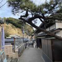 “Enoshima” วันเดียวเที่ยวไม่พอ