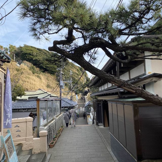 “Enoshima” วันเดียวเที่ยวไม่พอ