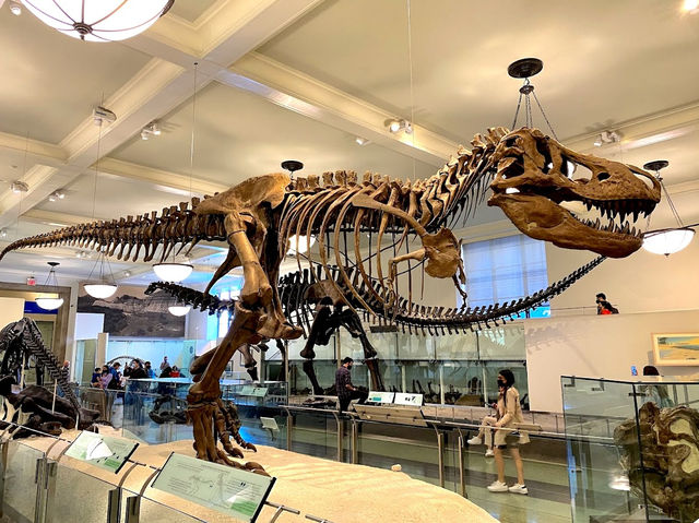 The American Museum of Natural History