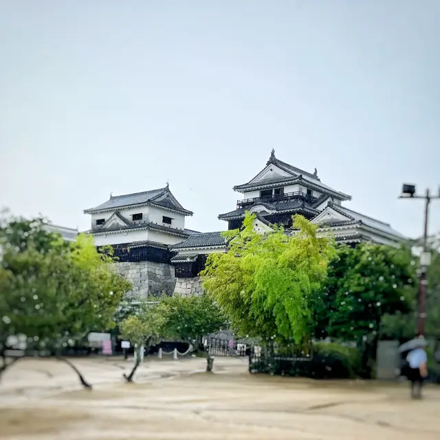 松山のシンボル松山城。