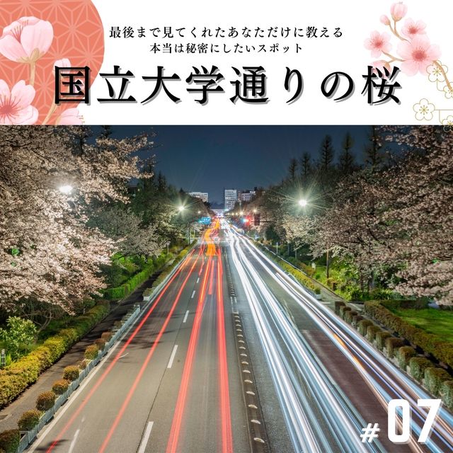 🌸必見！都内の夜桜攻略！🌸