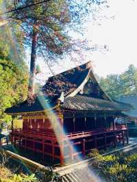 【日光二荒山神社・神苑/栃木県】縁結びスポット満載