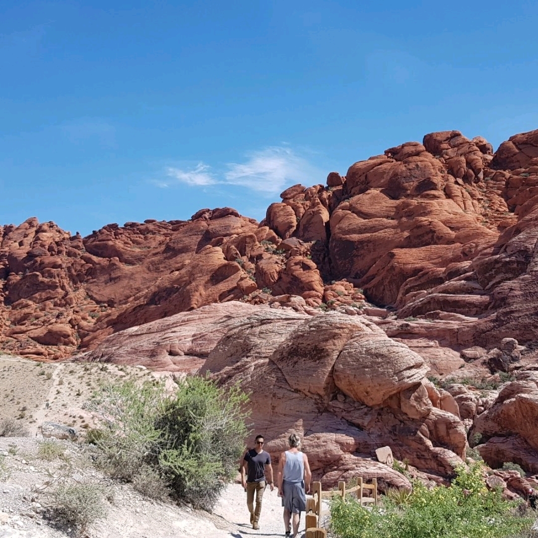  #summerdream Red Rock Canyon National Conservation Area มินิแกรนแคนยอนแถวลาสเวกัส ถ้าแวะมาเล่นคาสิโน ไม่อยากเดินทางไกล ตรงนี้ก็ได้บรรยากาศความเป็นแอริโซน่า อยู่ เดินใน พาร์คได้ด้วย