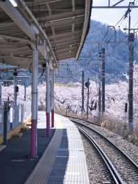 【山梨・桜】混雑回避はココ‼️レトロな雰囲気が出る桜咲くホーム跡🌸※マップ付き
