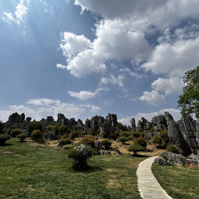 Kunming-Stone forest 