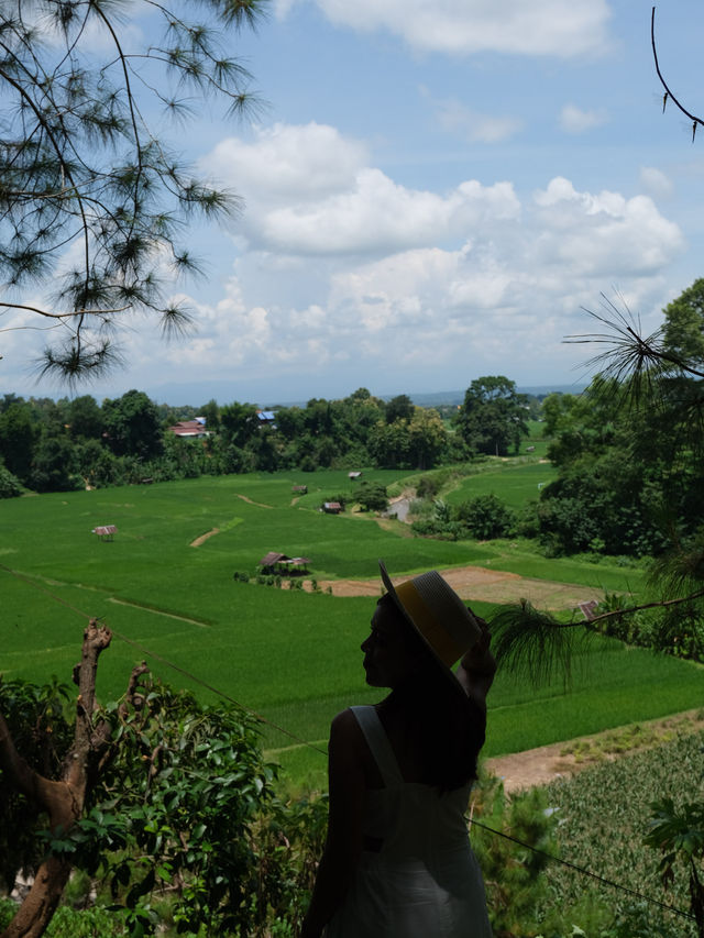 ฟาร์มเห็ดบ้านหัวน้ำ น่าน 🌾