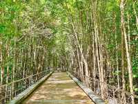 Saphan Hin park