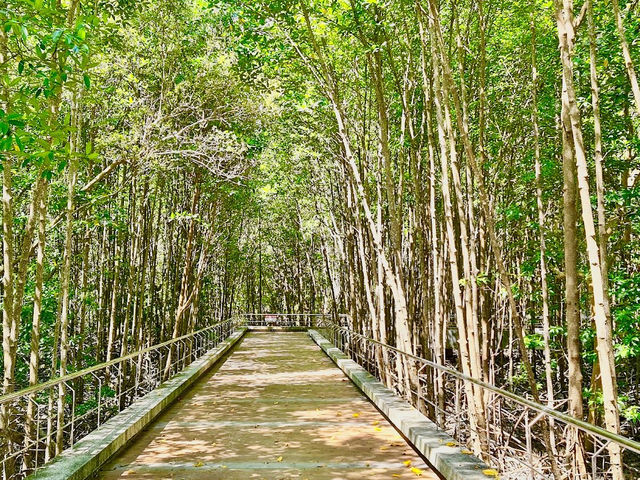 Saphan Hin park