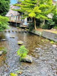 【行列攻略】1時間待ちは当たり前！？並んででも食べたい！三島の大人気うなぎ桜屋🥢