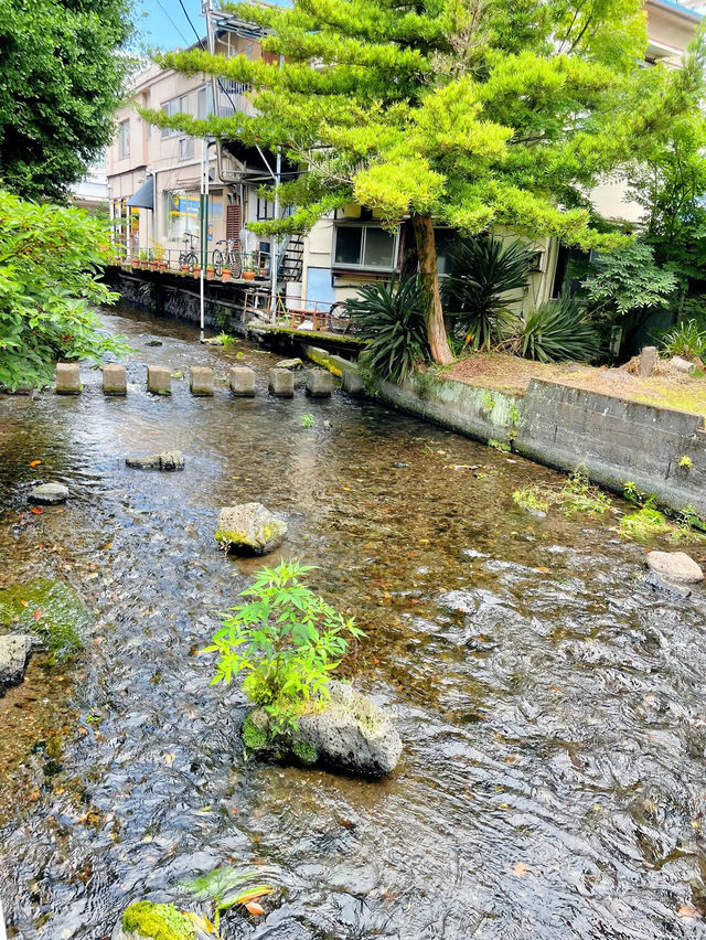 【行列攻略】1時間待ちは当たり前！？並んででも食べたい！三島の大人気うなぎ桜屋🥢