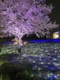 【春盛りだくさん！】舎人公園にこの春行くべき！🌸