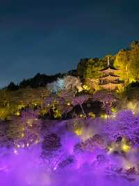 【東京】絶対に行ってほしい✨幻想的な世界