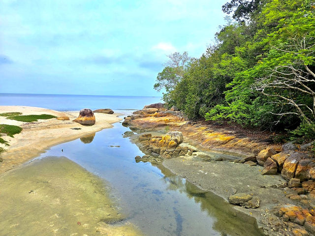 Penang National Park 