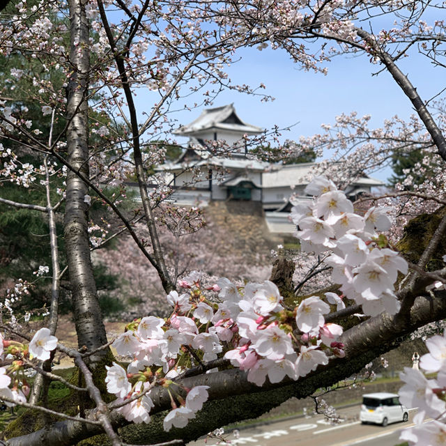 Spring in Kanazawa