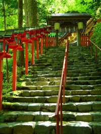 【京都】新緑のGWにオススメ‼️京都屈指の観光スポットを紹介🔍