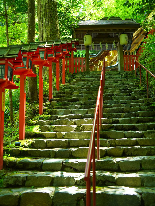 【京都】新緑のGWにオススメ‼️京都屈指の観光スポットを紹介🔍
