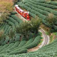臺北貓空觀光茶園：小火車遊園獨特體驗