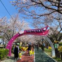 Samnak Ecological Park จุดชมซากุระสวยในปูซาน