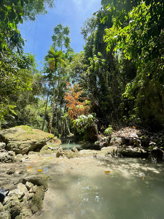 Take a chill break in cold waters and test your courage at Dao & Binalayan waterfalls 