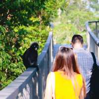 The Habitat Penang Hill