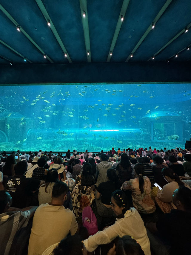 해저 속 레스토랑에 오신걸 환영합니다.