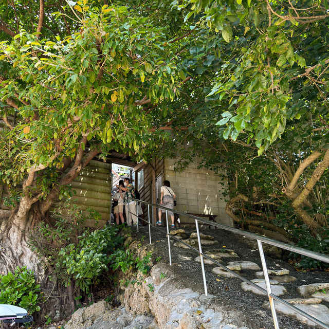 【沖縄】美しい海を眺められる絶景カフェ