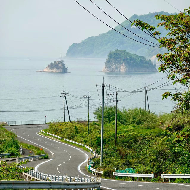 南千倉海岸：極致視覺衝擊力