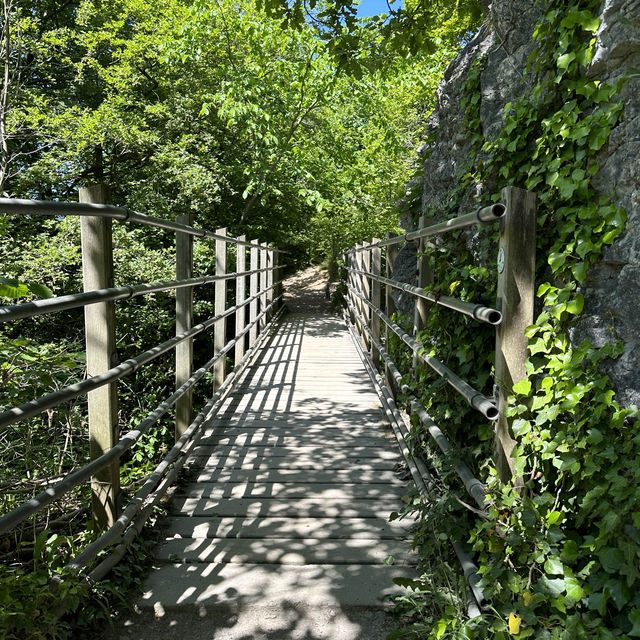 Loggerheads Country Park