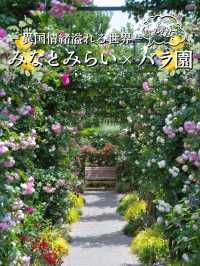 【神奈川】今が見頃‼️しかも無料🤩みなとみらい×バラ園で季節を感じよう✨