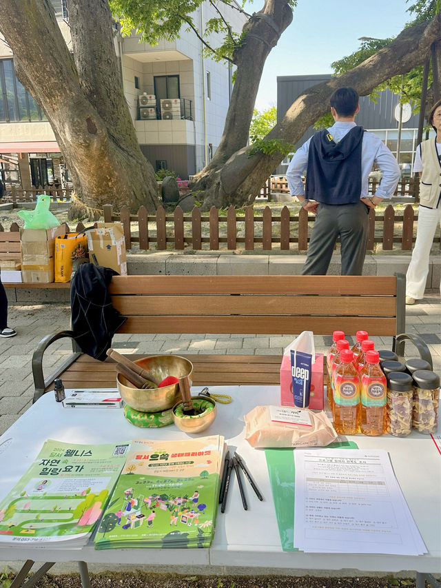 대구 자연속 힐링 자연요가체험!!