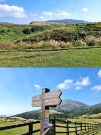 Qingtiangang Grassland @ Yangmingshan