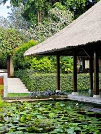 Embark on a Luxury Wellness Retreat