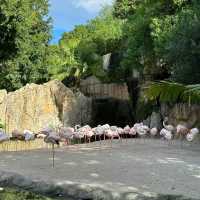 廣州動物園：珍稀動物，放鬆心情的理想去處