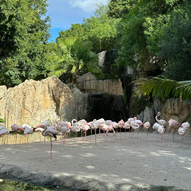 廣州動物園：珍稀動物，放鬆心情的理想去處