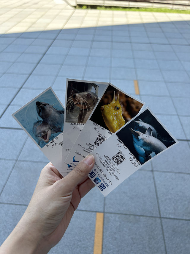 【 免費與海豚互動。水族館•海響館 】